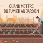 quand mettre du fumier au jardin illustration potager automne